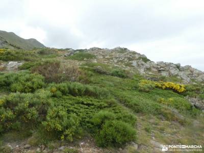 Pico del Lobo - Sierra de Ayllón; editorial el senderista castillo coca excursiones y senderismo emb